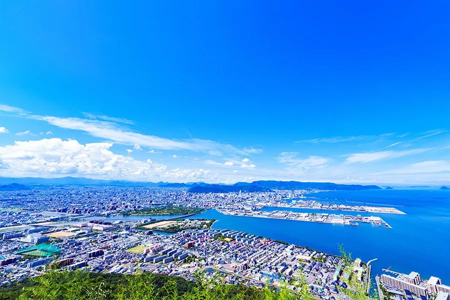 🌸 세계의 매화 공원 (세카이노우메코엔) 이미지 4